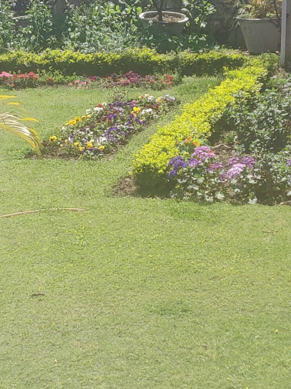 Heritage Homestay Jammu Eksteriør billede