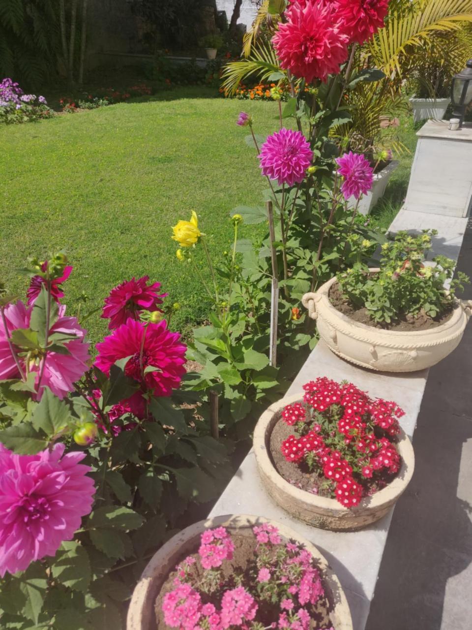 Heritage Homestay Jammu Eksteriør billede